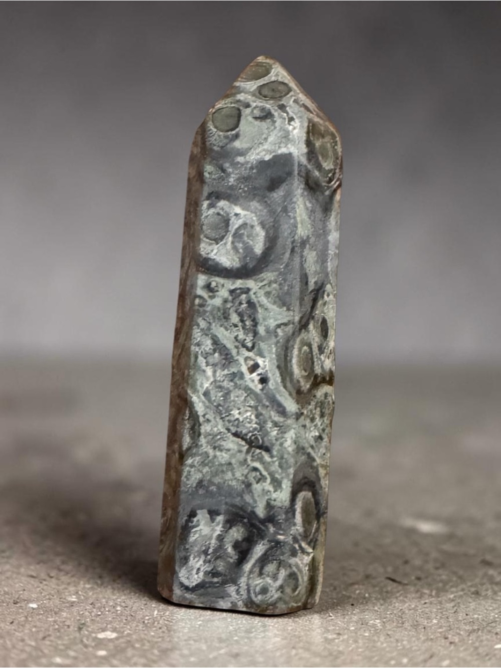 Kambaba Jasper Tower – Polished Stromatolite Jasper Point | 4”
